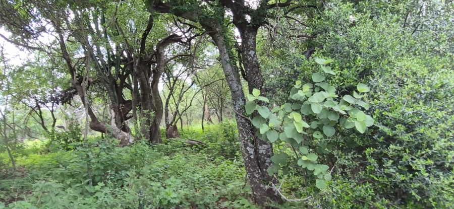 0 Bedroom Property for Sale in Koster North West